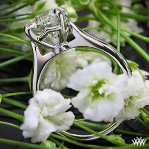 Platinum-Solitiare-Engagement-Ring-by-Whiteflash-31791_g.jpg Platinum-Solitiare-Engagement-Ring-by-Whiteflash-31791_g.jpg