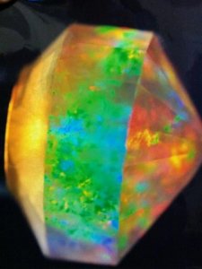 420679_10150686831929579_703634578_11255145_502111571_n[1].jpg