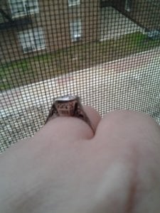 IMG_20120218_163948.jpg