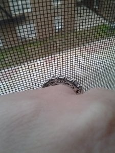 IMG_20120218_164108.jpg