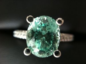 IMG_0444.jpg