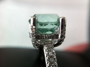 IMG_0448.jpg