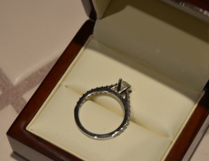 DSC_2425.JPG