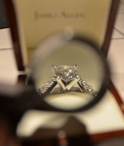 DSC_2427.JPG