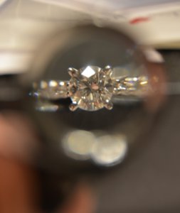 DSC_2431.JPG