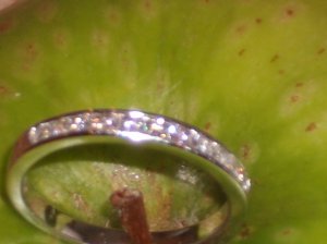 GEDC0671.JPG