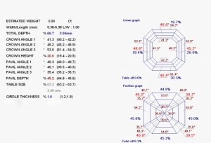 .90 asscher sarin report.jpg .90 asscher sarin report.jpg