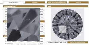 GIA sample rep.jpg
