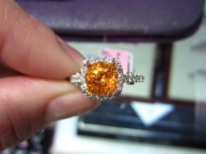 IMG_0099.JPG