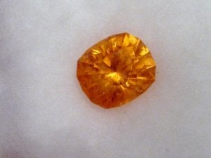 IMG_7545.JPG