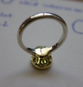 back of the ring - Copy.jpg