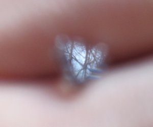 IMG_5289c.jpg