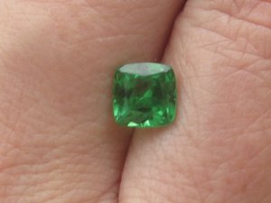 Tsavorite outside.JPG
