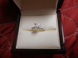 strip dump 2012 045.JPG