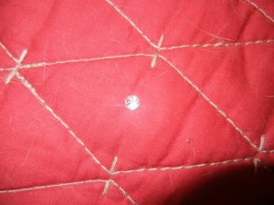 strip dump 2012 042.JPG