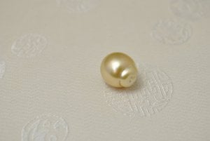 1183267_large.jpg 1183267_large.jpg