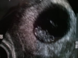 2012-03-06 11.47.13.jpg