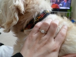 ring-a4.jpg ring-a4.jpg