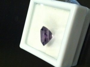 photo 2.JPG