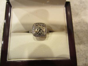 IMG_0513.JPG IMG_0513.JPG