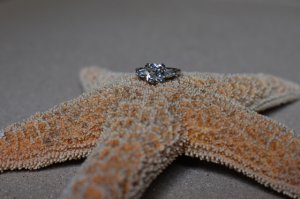 DSC_0589.JPG