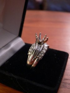 platinum mount5.jpg platinum mount5.jpg
