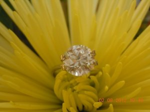 DSCN2281.JPG