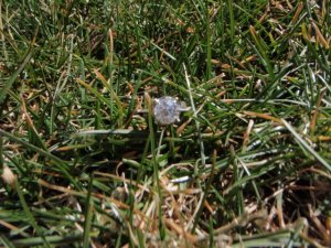 P4110033.JPG