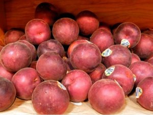 Black velvet apricots.jpg
