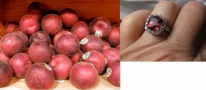 Black velvet apricots.jpg
