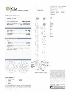 diamond cert.jpg