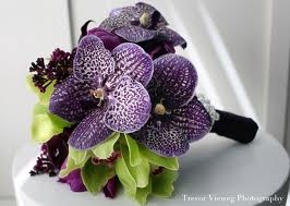 imagespurple.jpg