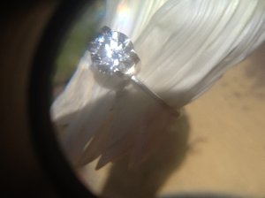 photo-30.jpg