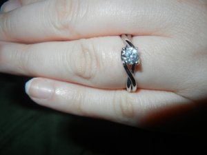Petoskey 2012 038.jpg