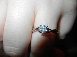 Petoskey 2012 041.jpg