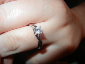 Petoskey 2012 043.jpg