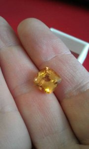 5.21goldenB.jpg