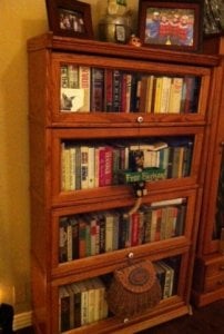 bookshelves1.JPG