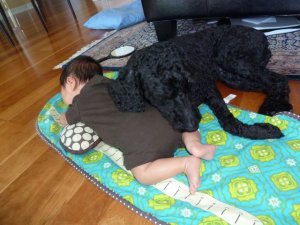Ethan pillow.jpg