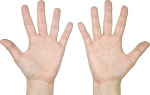 hands.jpg