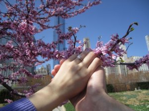 IMG_2249.jpg