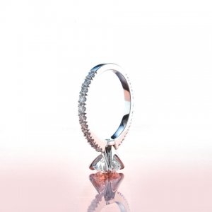ring 3.jpg ring 3.jpg