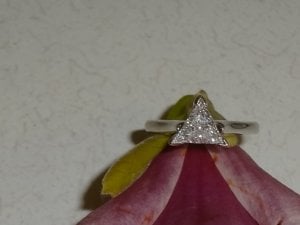 DIAMOND POINTY UP ON FLOWER CLOSER.JPG