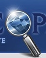 pricescopethm_logo.jpg
