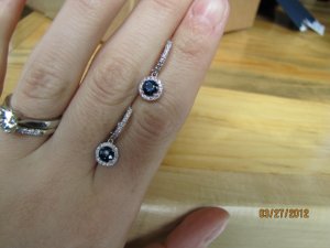 early spring 2012 059.JPG