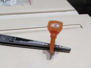 wax-5.jpg