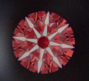 IMG_7882.jpg