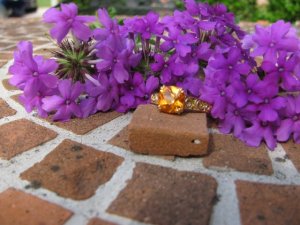 IMG_4086.JPG