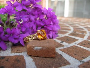 IMG_4082.JPG