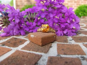 IMG_4080.JPG